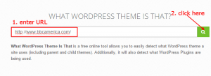 What WordPress Theme Is That