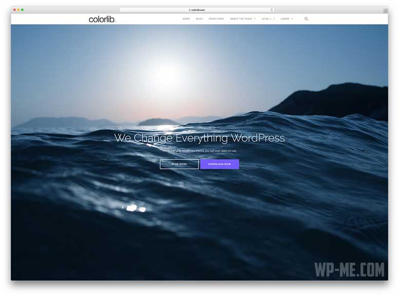 Shapely Free WooCommerce WordPress Theme