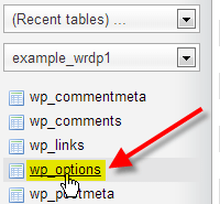 Select WordPress options table