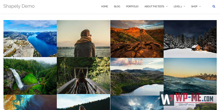 Shapely WordPress Theme